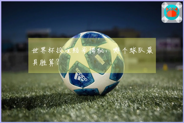 世界杯投注赔率揭秘，哪个球队最具胜算？