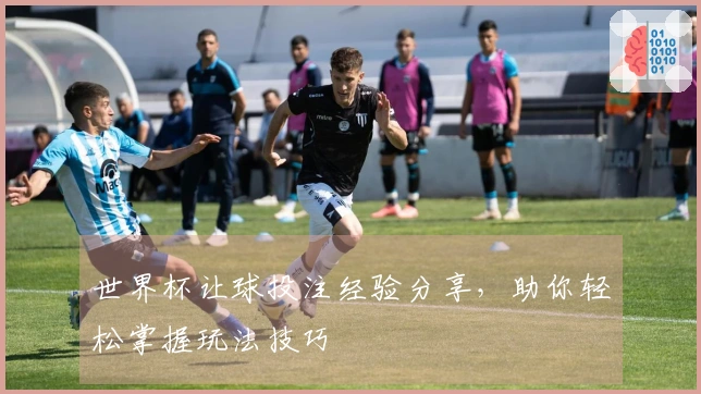 世界杯让球投注经验分享，助你轻松掌握玩法技巧