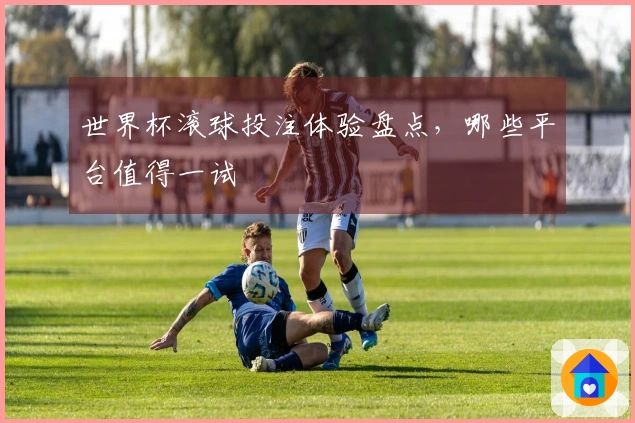 世界杯滚球投注体验盘点，哪些平台值得一试