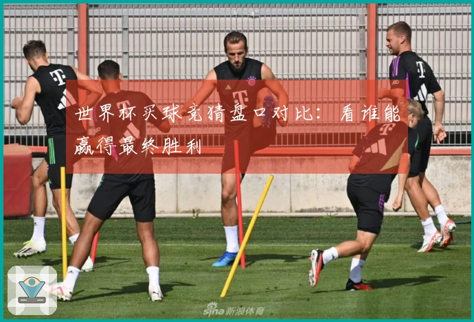 世界杯买球竞猜盘口对比：看谁能赢得最终胜利