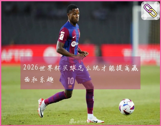 2026世界杯买球怎么玩才能提高赢面和乐趣