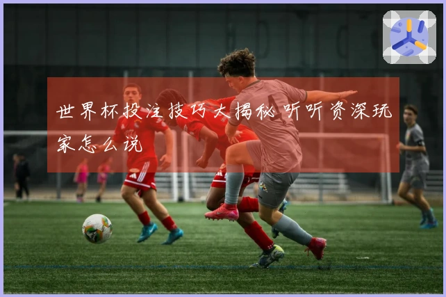 世界杯投注技巧大揭秘 听听资深玩家怎么说