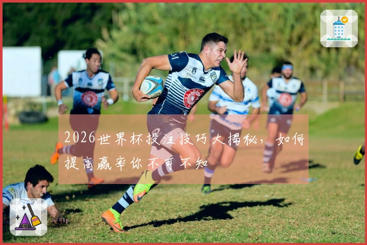 2026世界杯投注技巧大揭秘，如何提高赢率你不可不知