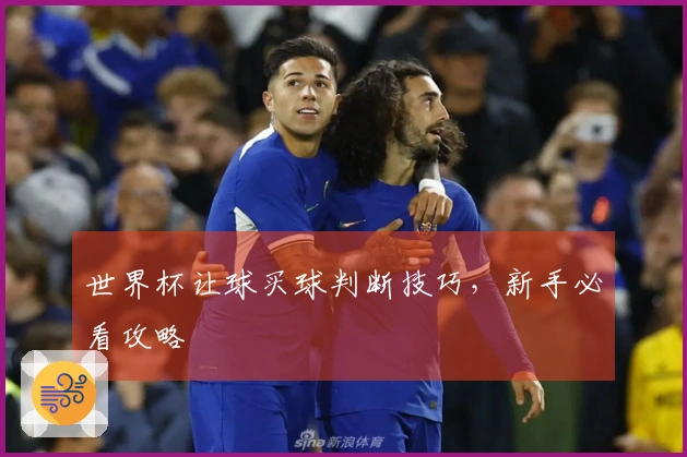 世界杯让球买球判断技巧，新手必看攻略
