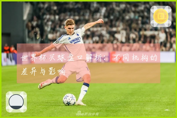 世界杯买球盘口解析：不同机构的差异与影响