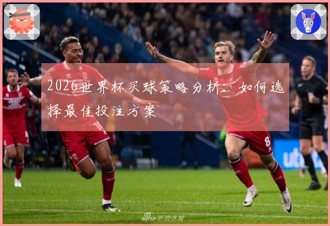 2026世界杯买球策略分析：如何选择最佳投注方案