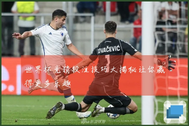 世界杯竞猜投注技巧大揭秘让你赢得更多乐趣