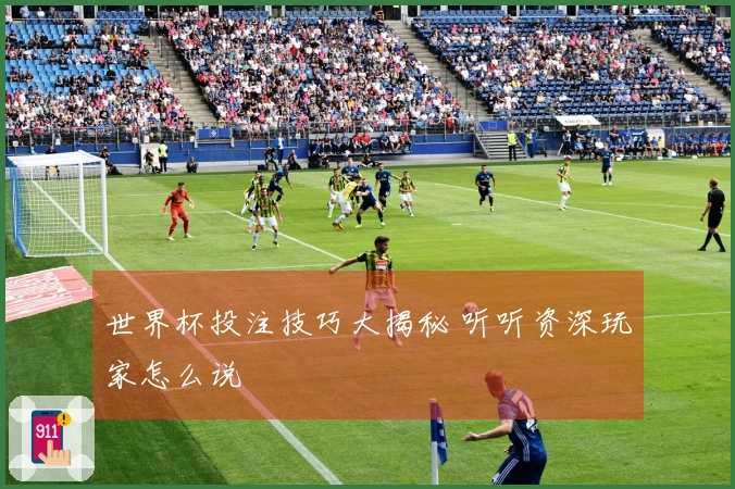 世界杯投注技巧大揭秘 听听资深玩家怎么说