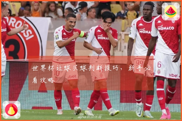 世界杯让球买球判断技巧，新手必看攻略